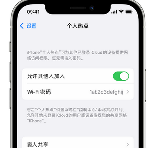 城关apple服务站点分享iPhone上个人热点丢失了怎么办