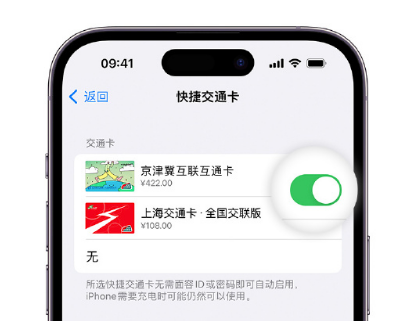 城关apple维修点分享iPhone上更换Apple Pay快捷交通卡手绘卡面 