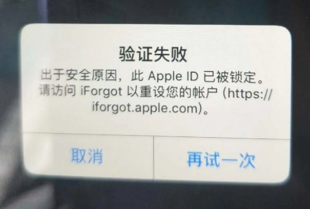 城关iPhone维修分享iPhone上正常登录或使用AppleID怎么办 