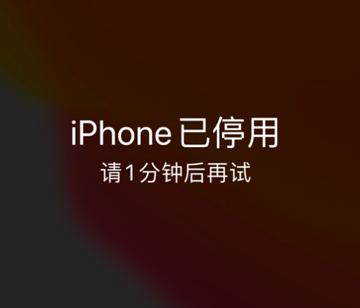 城关苹果手机维修分享:iPhone 显示“不可用”或“已停用”怎么办？还能保留数据吗？ 