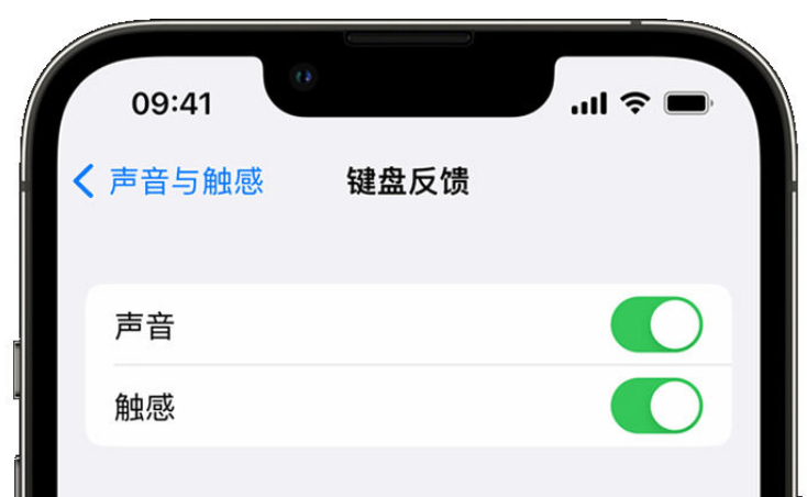 城关苹果手机维修分享iPhone 14触感键盘使用方法 