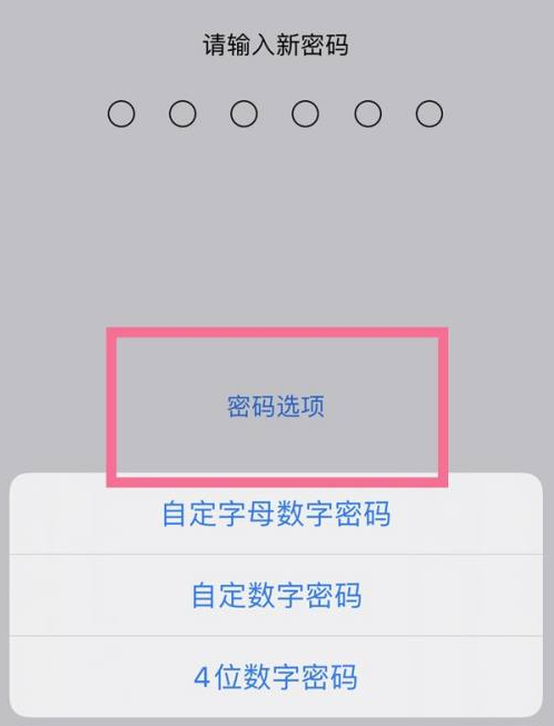 城关苹果14维修分享iPhone 14plus设置密码的方法 