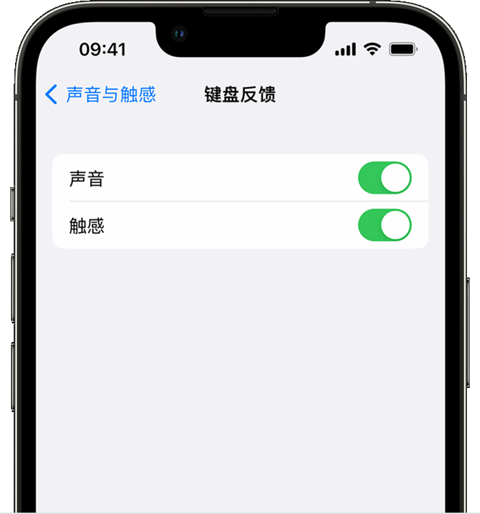 城关苹果14维修分享iPhone 14 系列机型如何开启键盘声音或触感反馈 