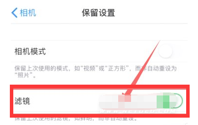 城关苹果13维修分享iPhone13拍照有绿点是怎么回事 