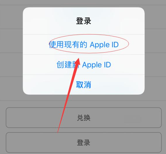 城关苹果手机维修分享两台iPhone设备可以同时登录一个Apple ID吗 