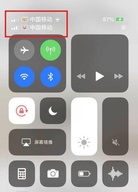 城关苹果手机维修分享为 iPhone 12 双卡设置标签 