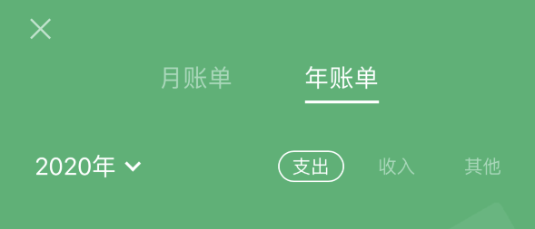 城关苹果手机维修分享如何在 iPhone 上查看支付宝和微信年支出账单 